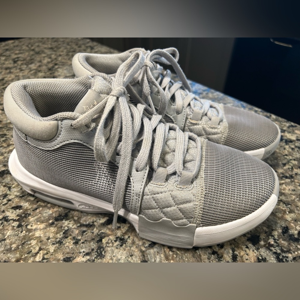 Nike Lebron Witness VIII 8 TB Wolf Grey - White Size 7